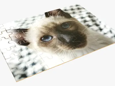 48-piece jigsaw puzzle Free 3D model