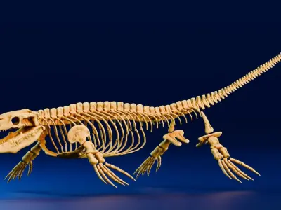 Realistic Ancient Reptilians Fossil - Mosasaurus Low-poly 3D model