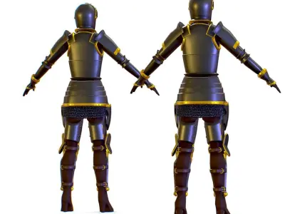 Subdivision 3D Women The Grey Knight Low-poly 3D model