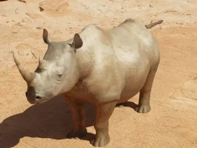 Rhino 3d model rhinoceros Low-poly 3D model