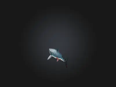 Realistic Wounded Shark Model Low-poly 3D model