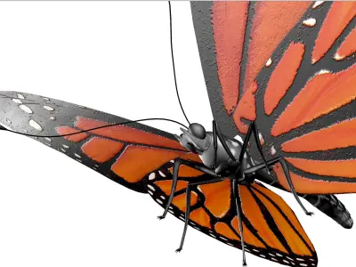 Butterfly orange insect Papillon 3D model