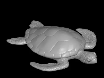sea turtle 3D print model