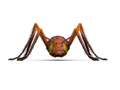 LowPoly Giant Crimson Ant Low-poly 3D model