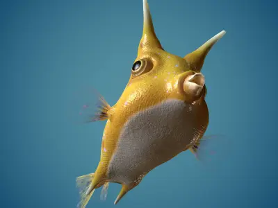 Fish Lactoria cornuta Lowpoly  Low-poly 3D model