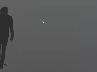 FeatherShoot03 30 Low-poly 3D model