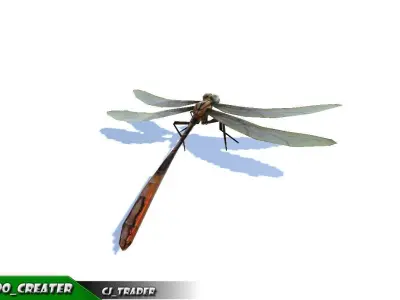 Low-Poly Dragonfly Rigged Animated 3D Model Low-poly 3D model