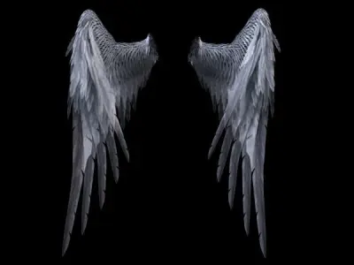 Angel Wings  3D model