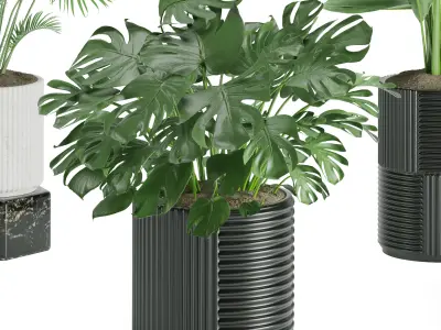 Indoor Plant Set 01 3D model