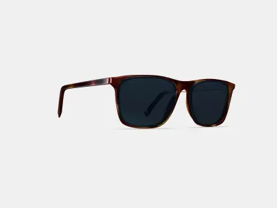 Fletcher Sunglasses in Rye Tortoise 3D model