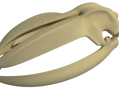 Whale Bone Skull 3D model