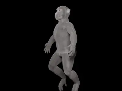 Japanese macaque monkey Free 3D model