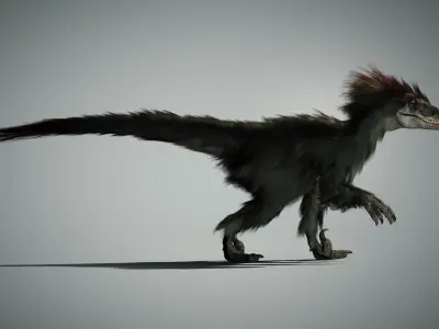 Raptor - Blender Low-poly 3D model