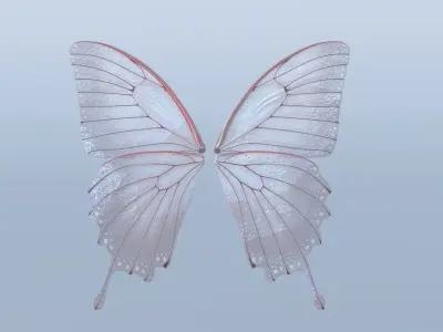 Fairy or Butterfly Wings Set B 3D model