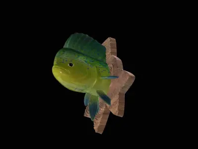 MAHI MAHI DETAILED TEXTURE TROPHY TAXIDERMY FOR 3D PRINTING 3D print model