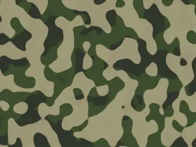 Camouflage Pack Texture