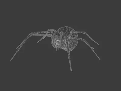 Black widow spider 3d model Free 3D model