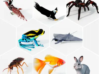 40 Models Animal Pack - Collection Low-poly 3D model