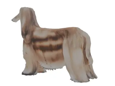 Afghan hound Low-poly 3D model