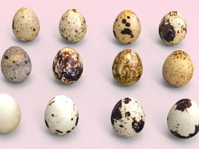  Bird Eggs Free low-poly 3D model