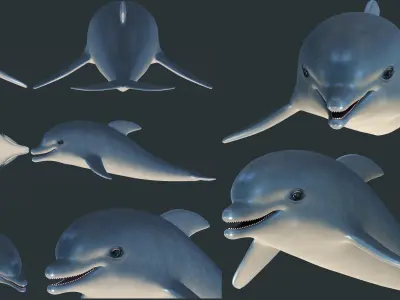 Dolphin model Low-poly 3D model