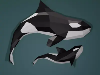 Orca Whale Low Poly Model Low-poly 3D model