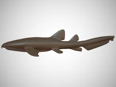 Nurse Shark Low-poly 3D model