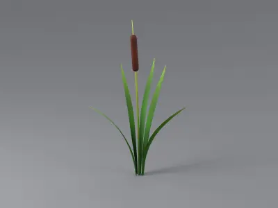 Cartoon Cattail 01 3D model