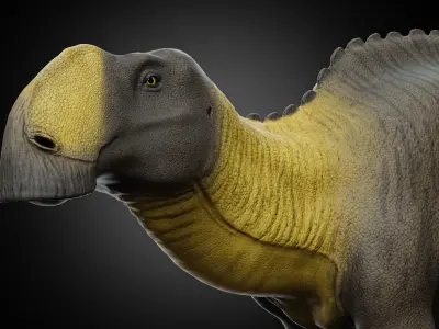 Gryposaurus notabilis Low-poly 3D model