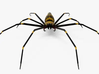 Goldern Web Spider Low-poly 3D model