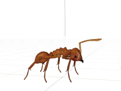 Leafcutter Ant Insect Low-poly 3D model