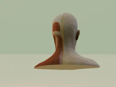 the anatomy of rage 3D model