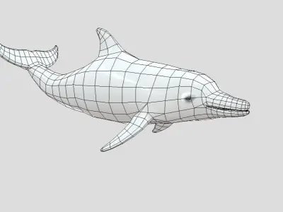 Dolphin Realistic Animated Low-poly 3D model