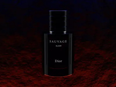 Dior Sauvage Elixir 100ml 3D model