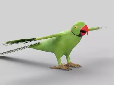 parrot flying in air Low-poly 3D model