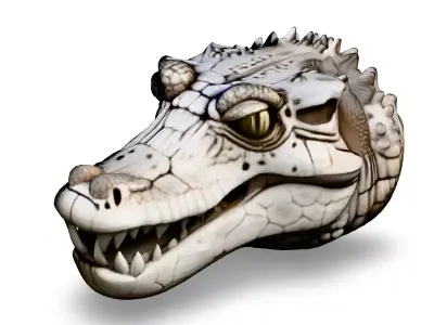 Realistic Crocodile Head 3D Model Low-poly 3D model