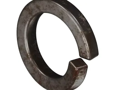 Rusty Spring Washer Low-poly 3D model