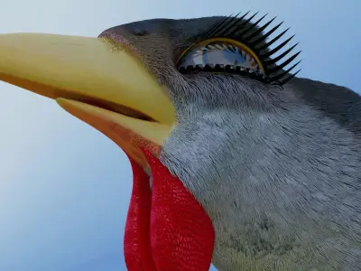 Bird Pheasant Low-poly 3D model