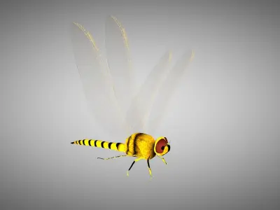 Animated dragon fly and butterfly 3D model