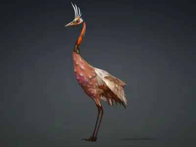 Crane Bird-B2 3D model