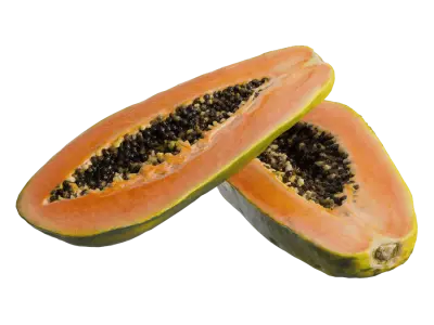  Halved Papaya Models 