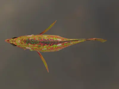 Fish Rosethorn Rockfish 3D model Low-poly 3D model