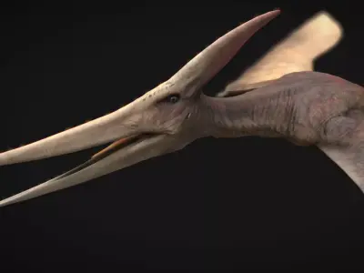 Pteranodon The Winged Ruler of the Cretaceous Skies  Low-poly 3D model