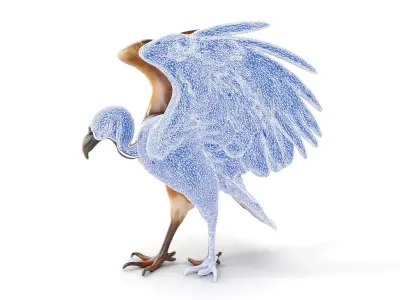 Detailed Vulture Bird D Model Pack for Simulation and Rendering Low-poly 3D model