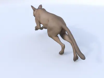 Fossa 3D model