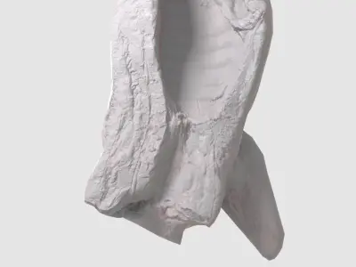 Pork Body Half Low-poly 3D model