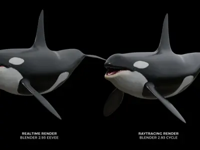 Orca killer whale Low-poly 3D model