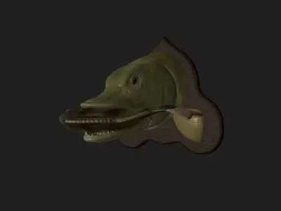 PIKE EAT PERCH DETAILED TEXTURE TROPHY TAXIDERMY FOR 3D PRINTING Free 3D print model