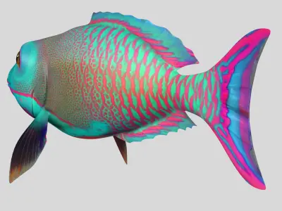 FISH RIGGED  3D model
