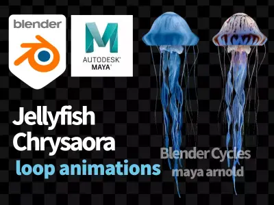 Jellyfish Chrysaora  Low-poly 3D model